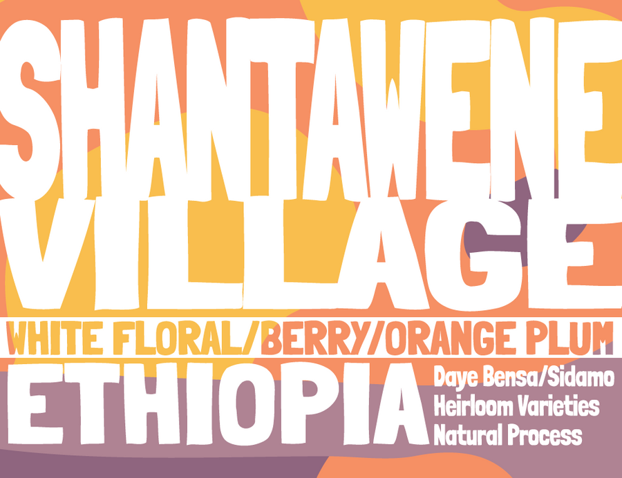Ethiopia - Shantawene - Natural Process