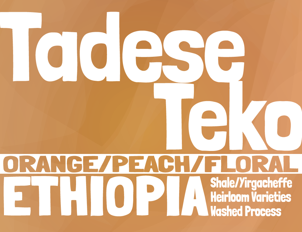 Ethiopia - Tadese Teko - Washed Process
