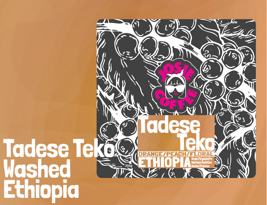 Ethiopia - Tadese Teko - Washed Process
