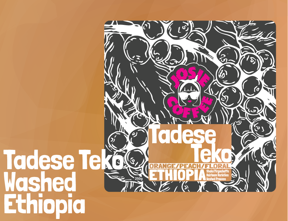 Ethiopia - Tadese Teko - Washed Process