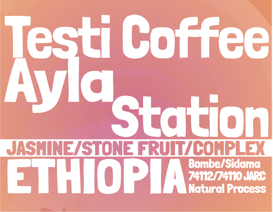 Ethiopia - Testi Coffee - Ayla Station - Bombe - Natural Process
