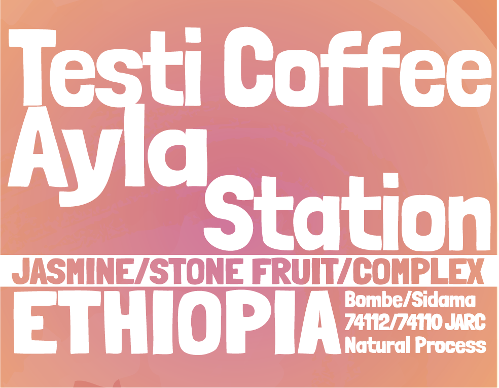 Ethiopia - Testi Coffee - Ayla Station - Bombe - Natural Process