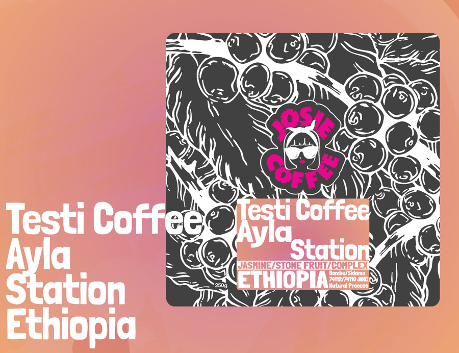 Ethiopia - Testi Coffee - Ayla Station - Bombe - Natural Process