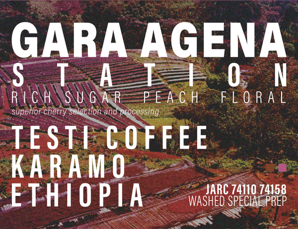 Ethiopia - Testi Coffee - Gara Agena Station - Special Prep Washed