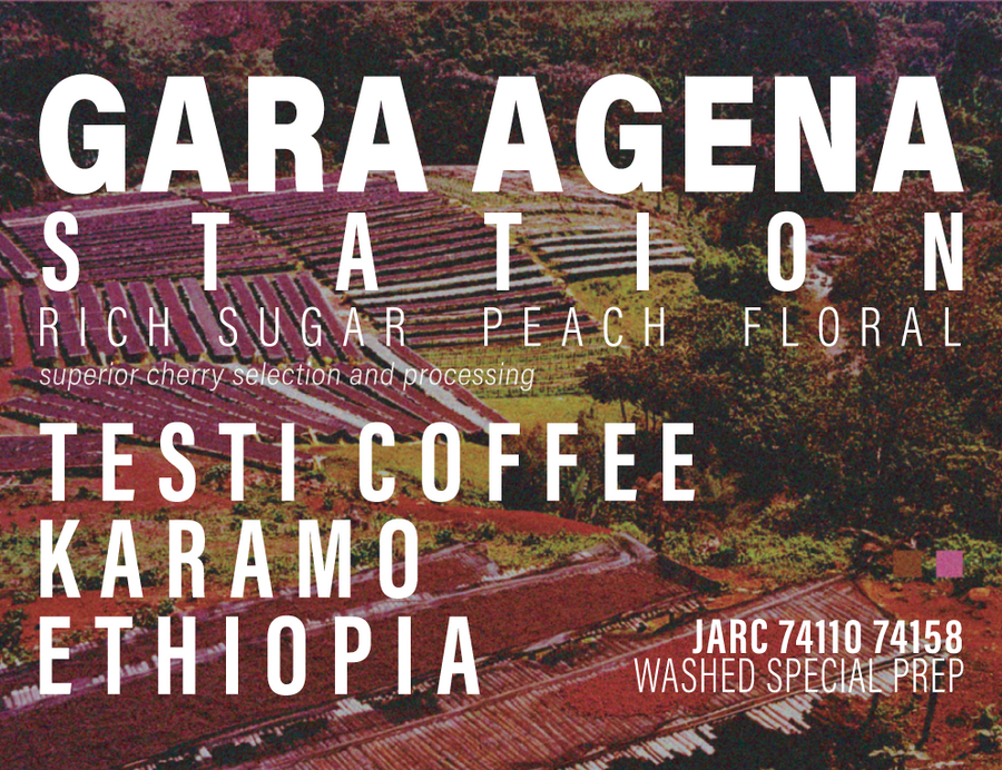 Ethiopia - Testi Coffee - Gara Agena Station - Special Prep Washed