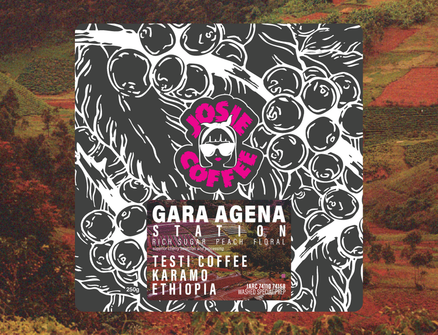 Ethiopia - Testi Coffee - Gara Agena Station - Special Prep Washed