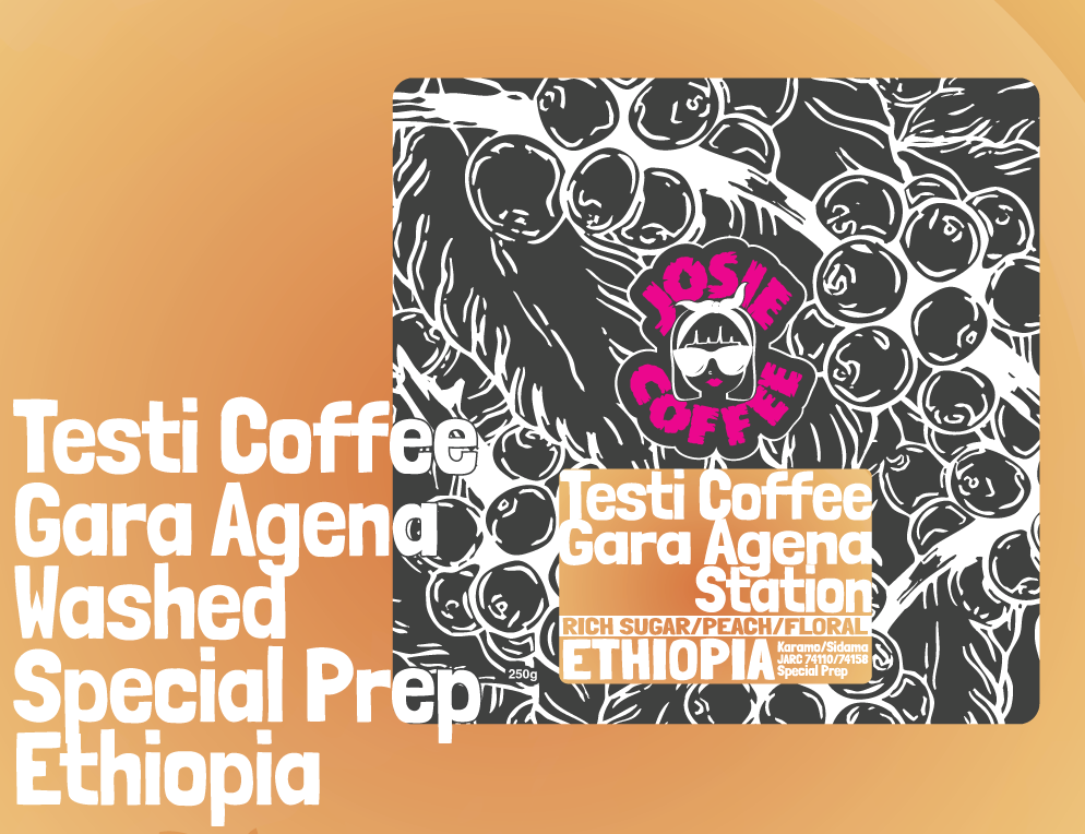 Ethiopia - Testi Coffee - Gara Agena Station - Special Prep Washed