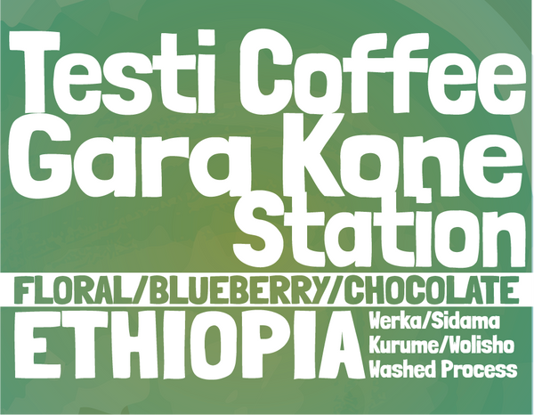 Ethiopia - Testi Coffee - Gara Kone Station - Werka Washed