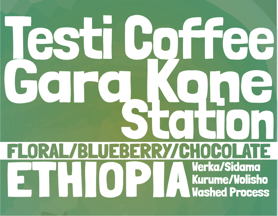 Ethiopia - Testi Coffee - Gara Kone Station - Werka Washed