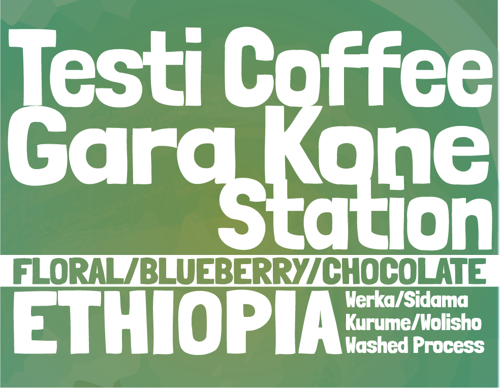 Ethiopia - Testi Coffee - Gara Kone Station - Werka Washed