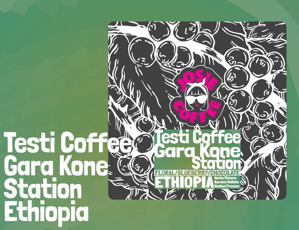 Ethiopia - Testi Coffee - Gara Kone Station - Werka Washed