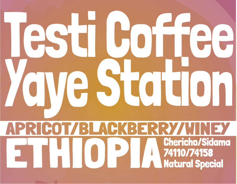 Ethiopia - Testi Coffee - Yaye Station - Special Prep Natural