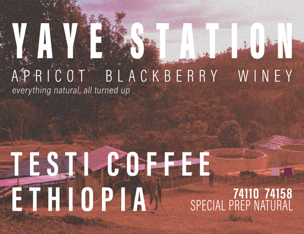 Ethiopia - Testi Coffee - Yaye Station - Special Prep Natural