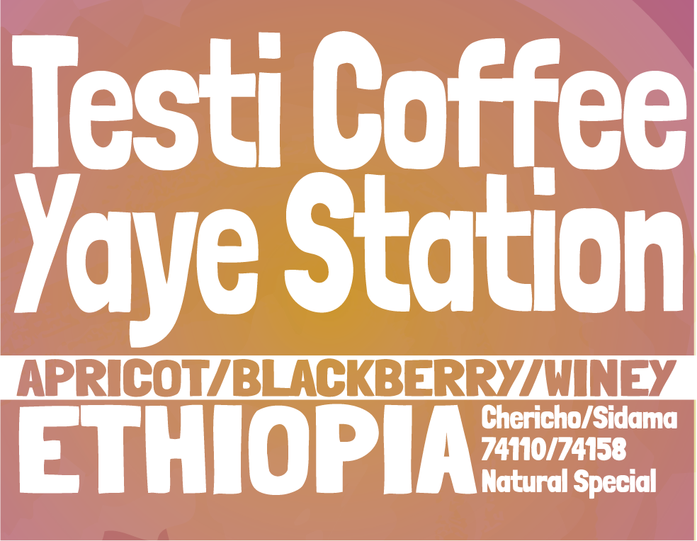Ethiopia - Testi Coffee - Yaye Station - Special Prep Natural