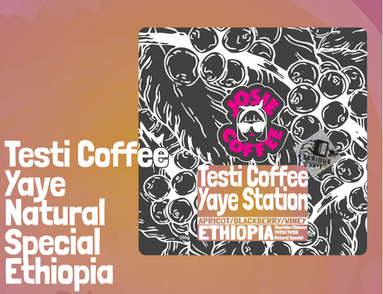 Ethiopia - Testi Coffee - Yaye Station - Special Prep Natural