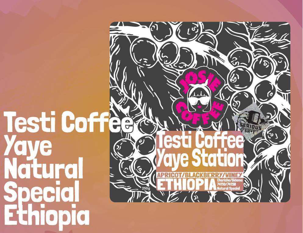 Ethiopia - Testi Coffee - Yaye Station - Special Prep Natural