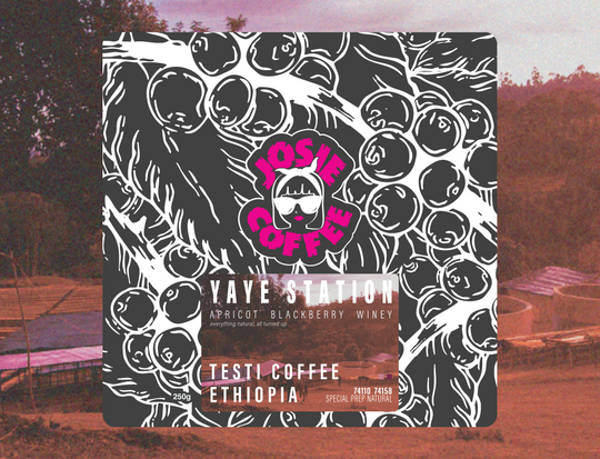 Ethiopia - Testi Coffee - Yaye Station - Special Prep Natural