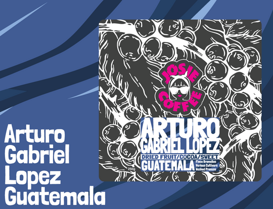 Guatemala - Arturo Gabriel Lopez - Washed Process