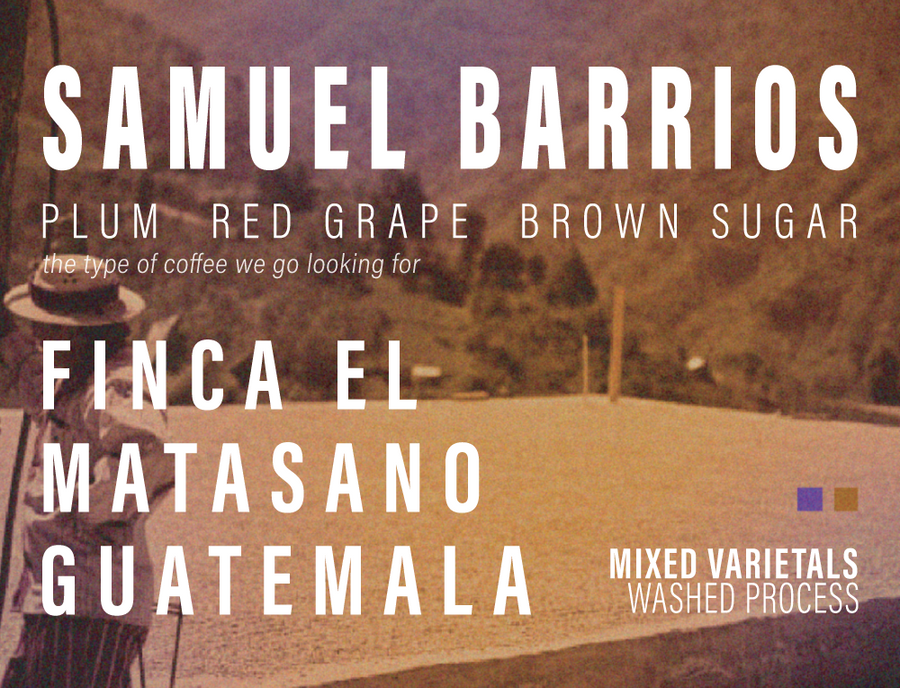 Guatemala - Samuel Barrios - Finca El Matasano - Washed Process
