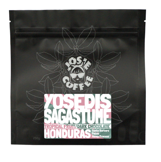 Honduras - Yosedis Sagastume - Honey Process