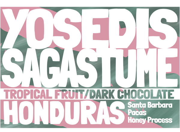 Honduras - Yosedis Sagastume - Honey Process