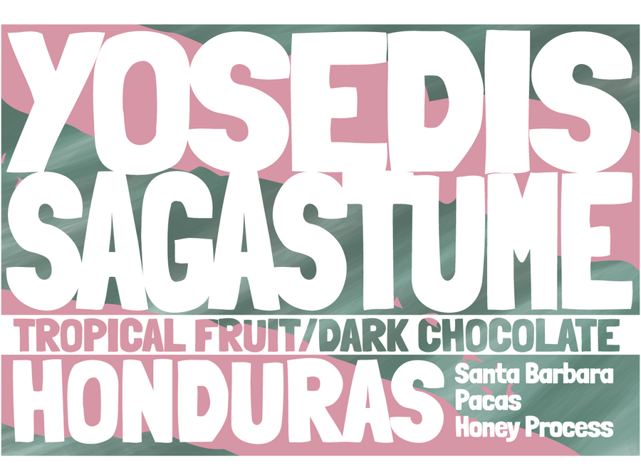 Honduras - Yosedis Sagastume - Honey Process