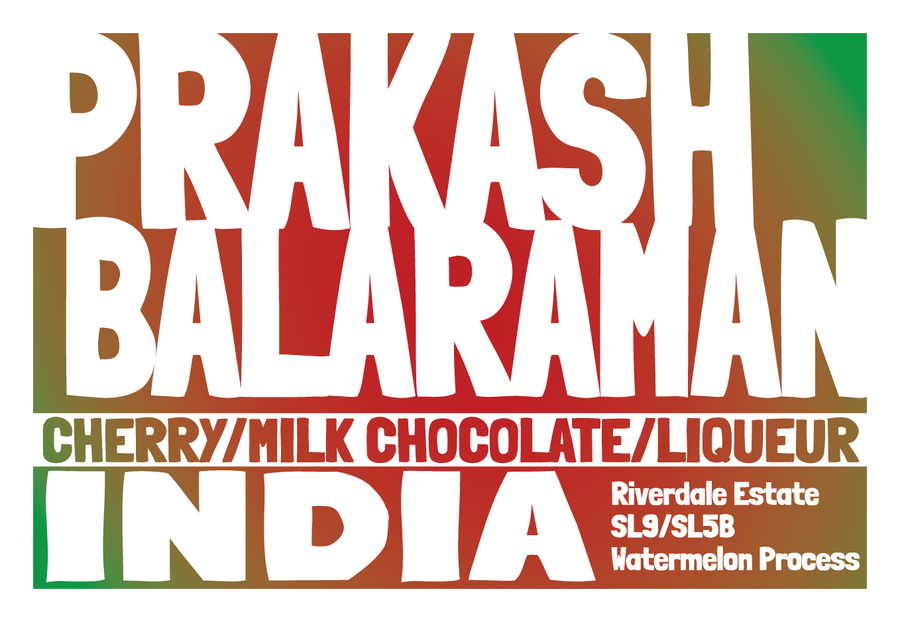 India - Riverdale Estate - Watermelon Natural Process