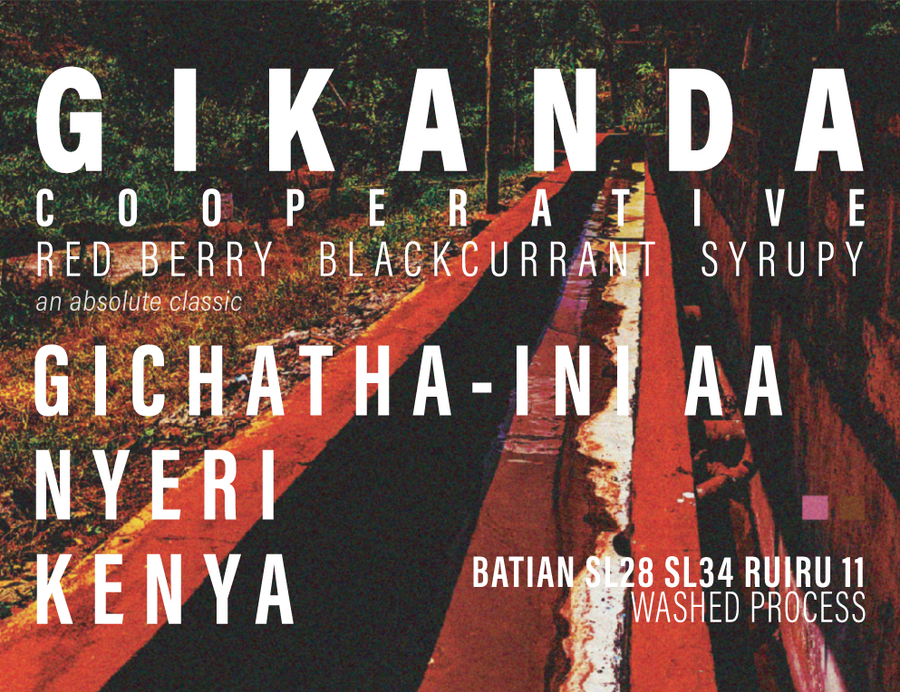 Kenya - Gikanda FCS - Gichatha-ini AB - Washed Process