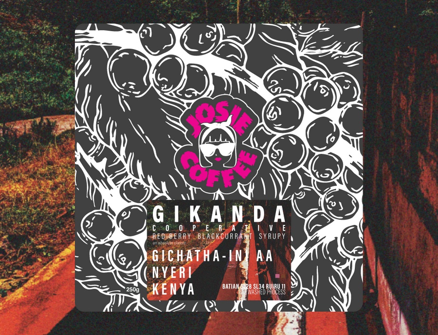 Kenya - Gikanda FCS - Gichatha-ini AB - Washed Process