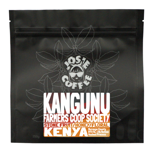 Kenya - Kangunu AA - Washed
