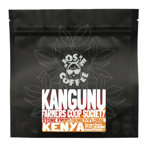 Kenya - Kangunu AA - Washed