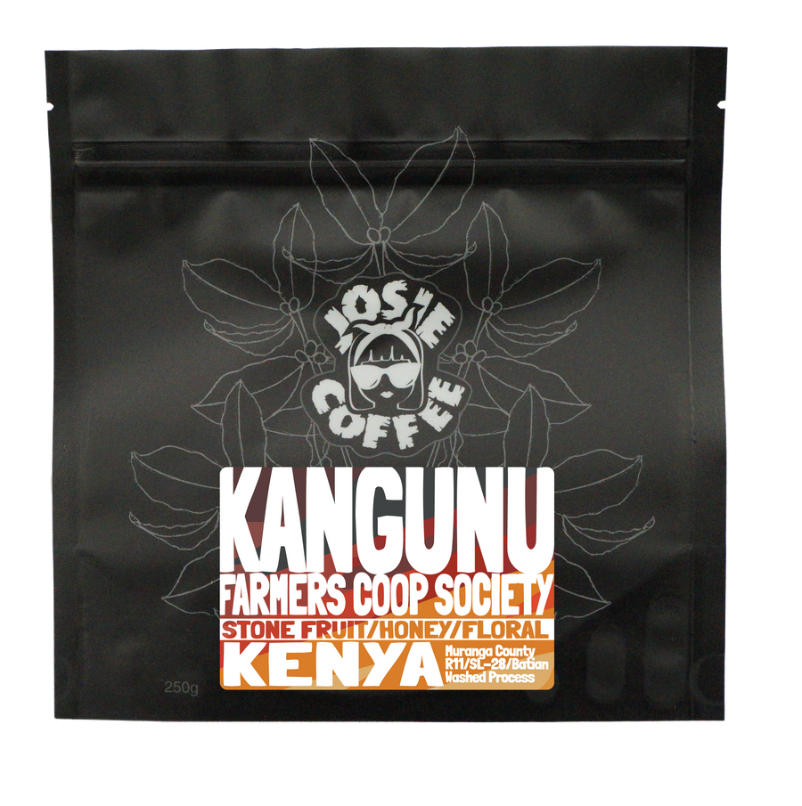 Kenya - Kangunu AA - Washed