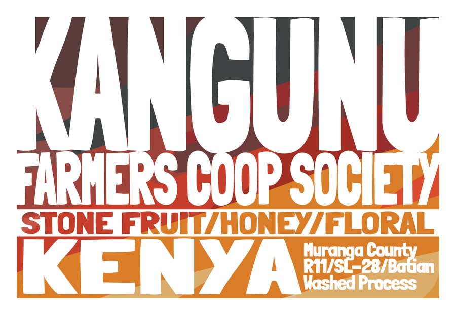 Kenya - Kangunu AA - Washed