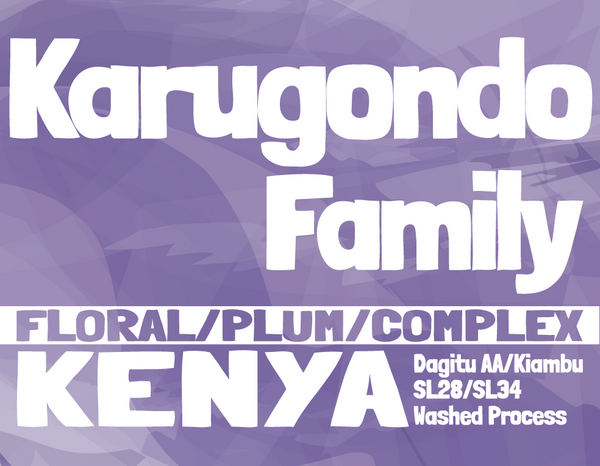 Kenya - Karugondo Family - Dagitu AA