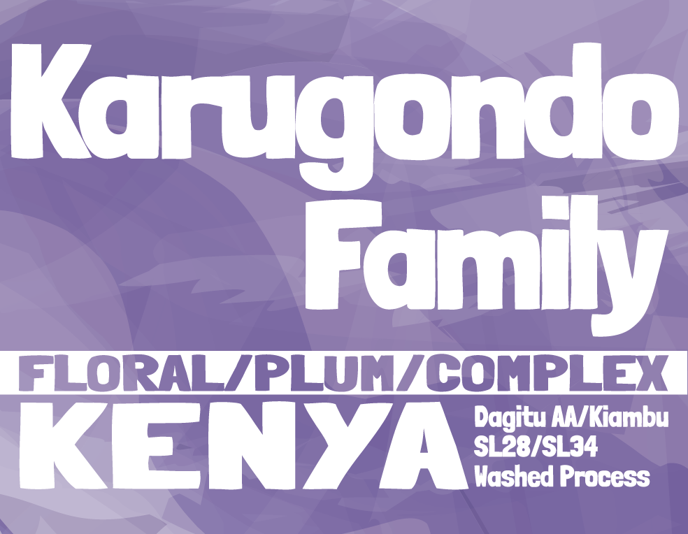 Kenya - Karugondo Family - Dagitu AA
