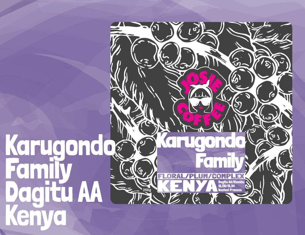 Kenya - Karugondo Family - Dagitu AA