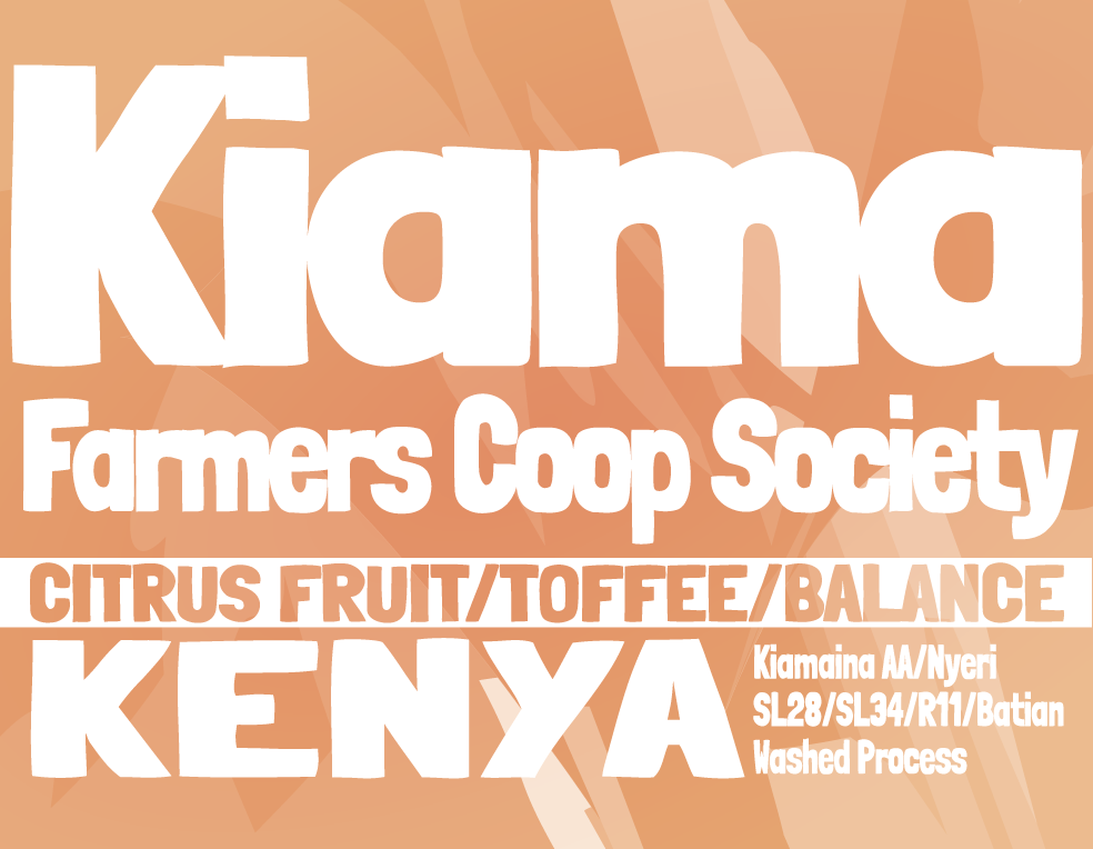 Kenya - Kiama FCS - Kiamaina AA - Washed Process