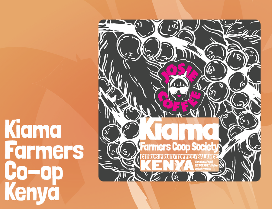 Kenya - Kiama FCS - Kiamaina AA - Washed Process