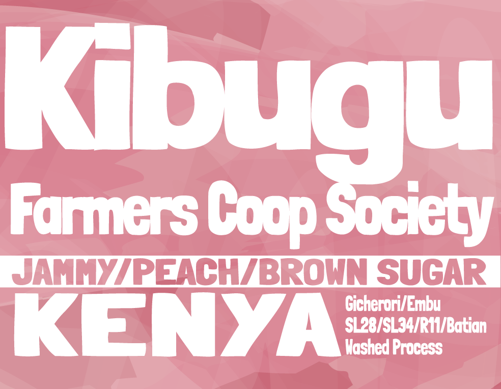 Kenya - Kibugu Coffee Farmers Co-op - Gicherori AA - Washed Process