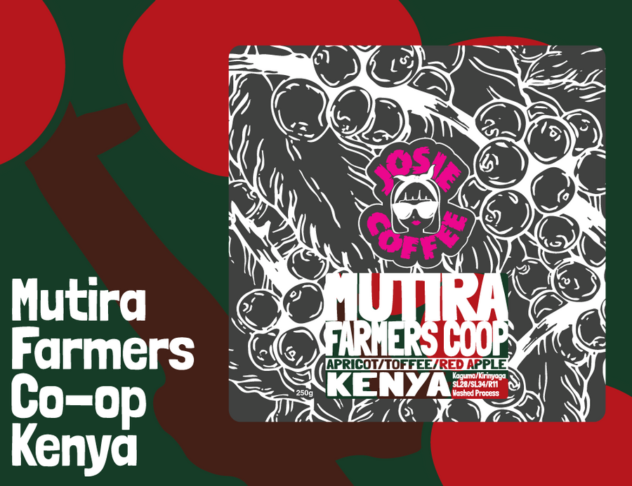 Kenya - Mutira Coffee Farmers Co-op - Mugaya AB - Washed Process