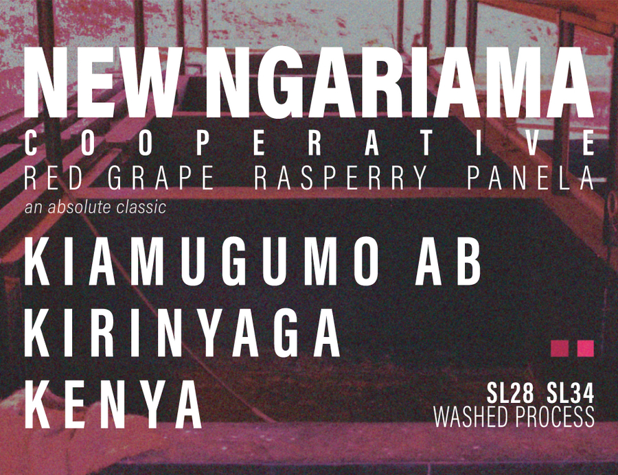 Kenya - New Ngariama FCS - Kiamugumo AB - Washed Process