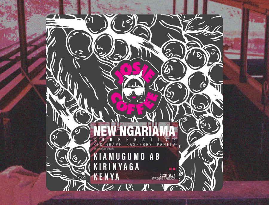 Kenya - New Ngariama FCS - Kiamugumo AB - Washed Process