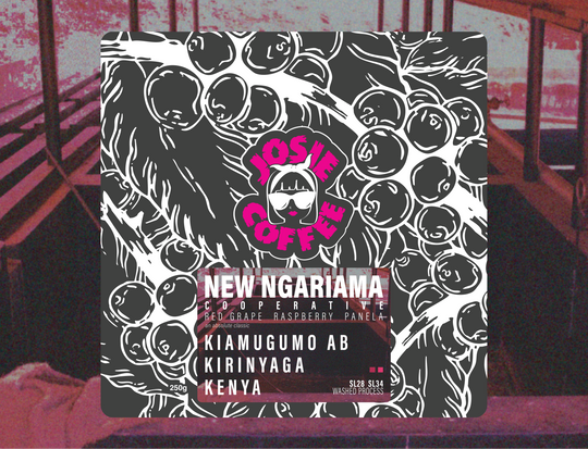 Kenya - New Ngariama FCS - Kiamugumo AB - Washed Process