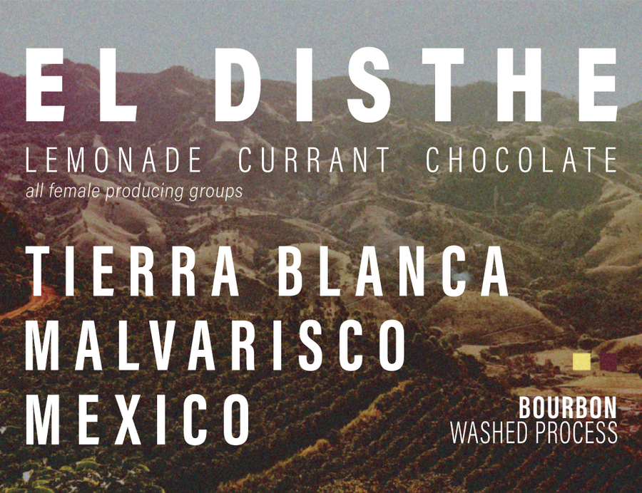 Mexico - El Disthe - Bourbon - Washed Process