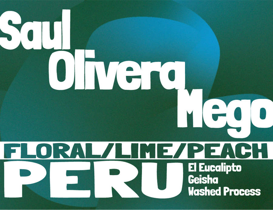 Peru - Saul Olivera Mego - El Eucalipto - Geisha - Washed