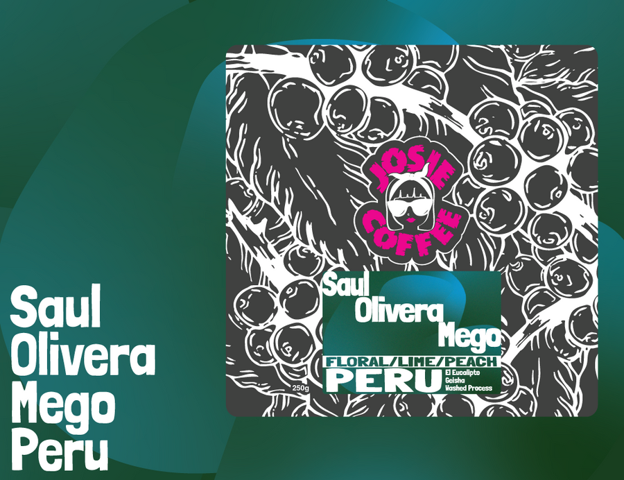 Peru - Saul Olivera Mego - El Eucalipto - Geisha - Washed