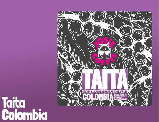 Colombia - Taita - Washed