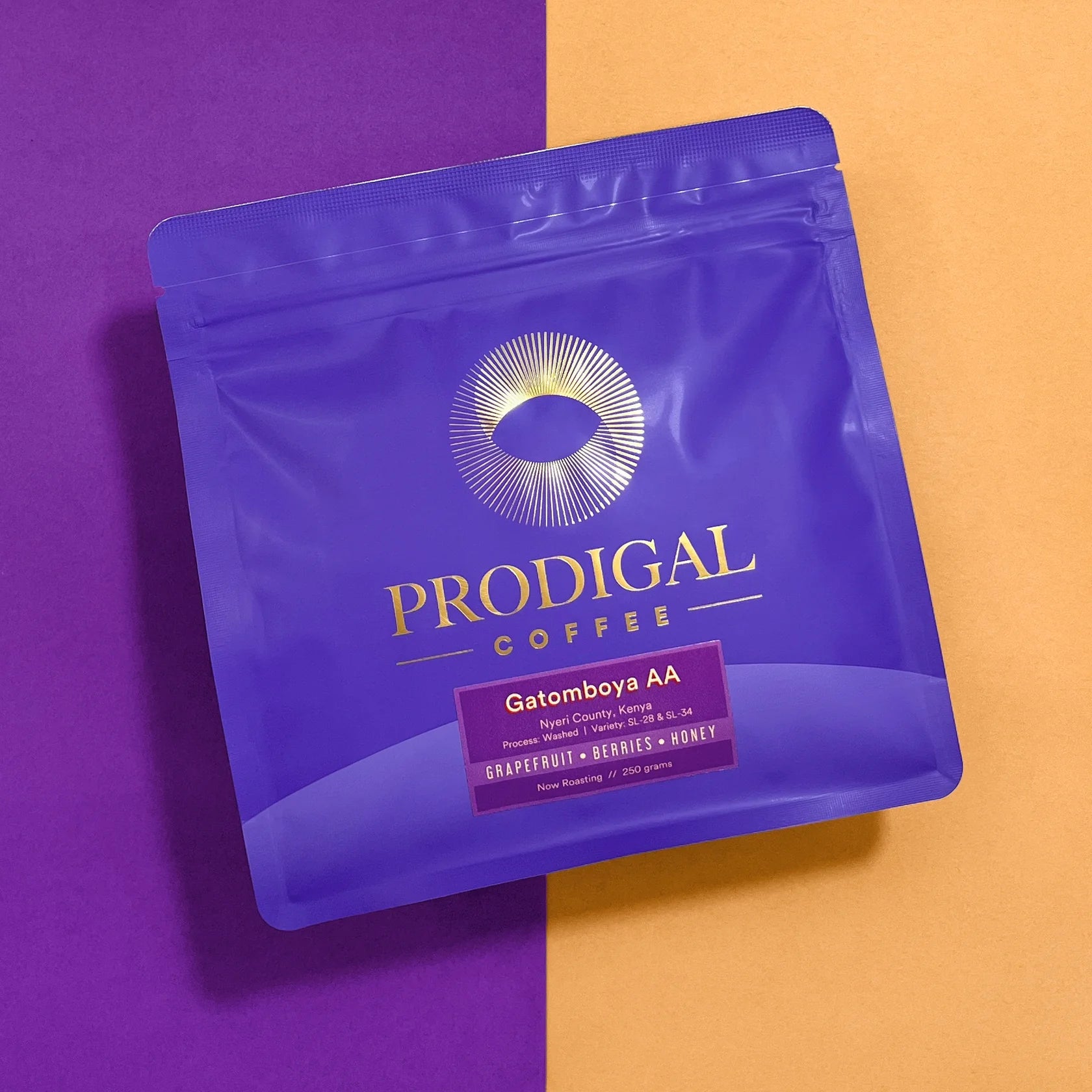 Prodigal Coffee - Kenya - Gatomboya AA - Washed Process