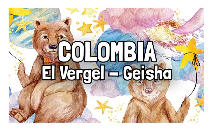Colombia - El Vergel - Geisha - Koji Process