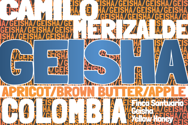 Colombia - Finca Santuario - Geisha - Yellow Honey